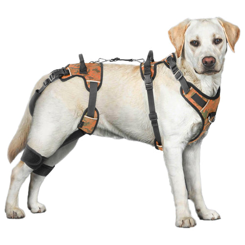 NovaPet Full-Body Dog Lift Harness & Support Sling — Hind-Leg Support for Large & Senior Dogs